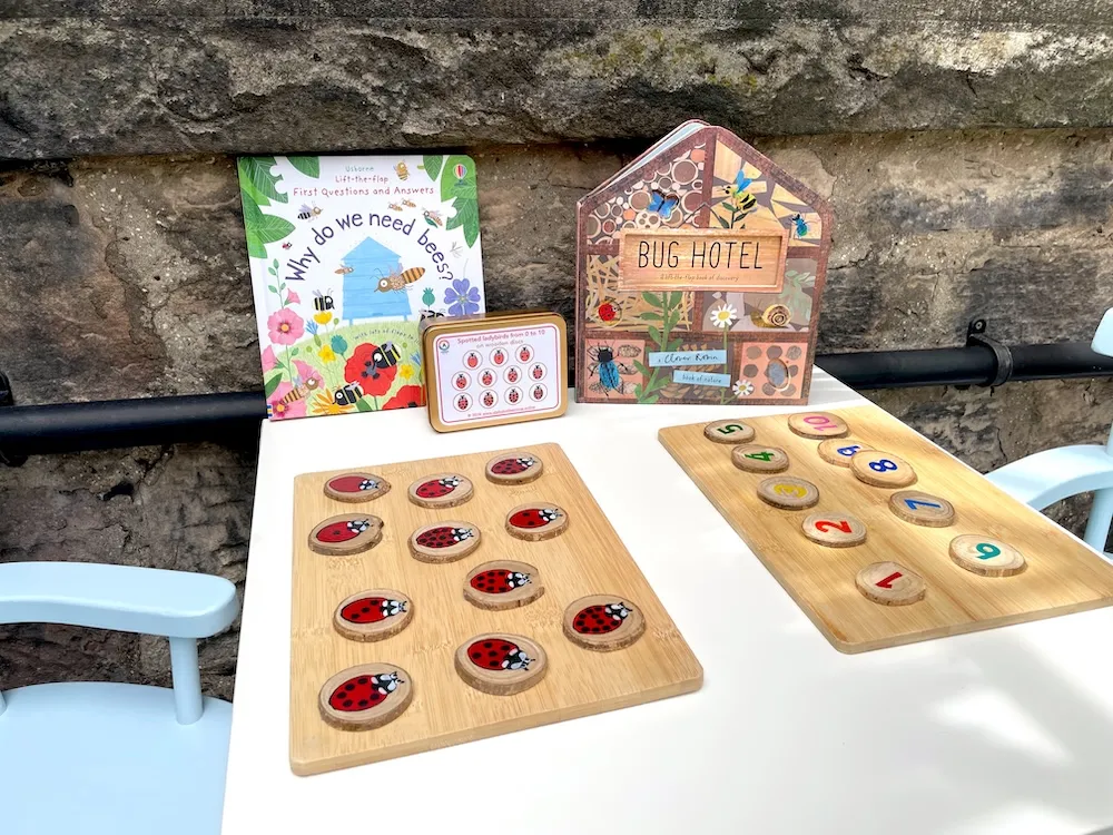 Ladybirds and numbers on table with bug books close up